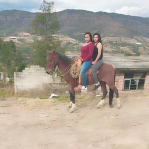 Meet your Posher, Angelica